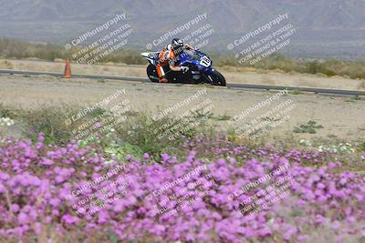 media/Feb-04-2023-SoCal Trackdays (Sat) [[8a776bf2c3]]/Turn 15 Inside Blooming (1050am)/